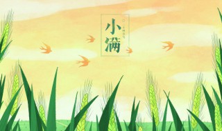 小满是几月初几 小满是农历几月几日