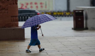 撑伞也是雨中人解释 撑伞也是雨中人是什么梗