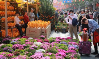 什么花适合阳台种植花期长 什么花适合阳台种植