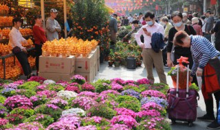 花盆上面放点沙可以吗 花盆底部放沙子可以吗