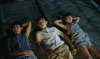 隐秘的角落ptsd的意思介绍 隐秘的角落ptsd是什么意思