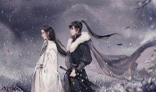 小说天涯客内容简介 天涯客简介