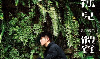 孤儿体质歌曲介绍 孤儿体质歌词