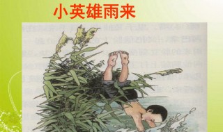 小英雄雨来介绍 小英雄雨来简介