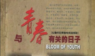 与青春有关的日子简介 与青春有关的日子谭丽