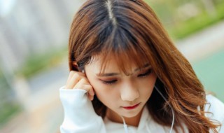 我像风一样自由歌词表达什么感情 我像风一样自由歌词