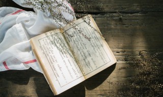 对的人的歌词 最对的人歌词