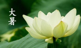 大暑节气介绍 大暑节气儿歌