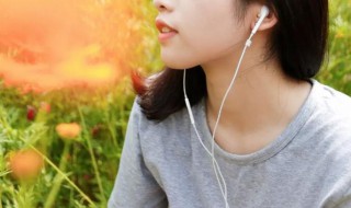 不想爱就别说话是何歌 不想爱就别说话是什么歌