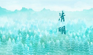 清明节扫墓能穿红色衣服吗 清明扫墓可以穿红色的衣服吗
