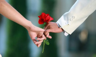 玫瑰花怎么养植 玖瑰花怎么养才鲜艳