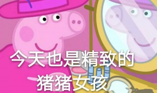 网络流行语精致的猪猪女孩的意思是什么 网络流行语精致的猪猪女孩