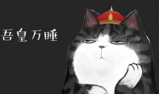 吾皇的意思 吾皇是什么意思