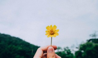 我知道你在我世界最重要歌词全文 我知道你在我世界最重要什么歌