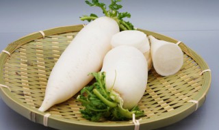 散热器的简介 萝卜散热器什么梗