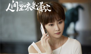 人间至味是清欢简介 人间至味是清欢林月结局