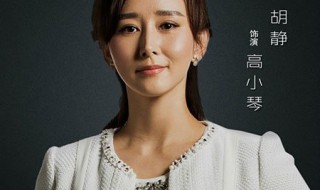 高小琴人物介绍 高小琴和谁有关系