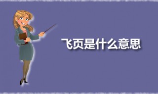 剧本飞页是指什么 飞页是什么意思