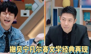 撒贝宁 凡尔赛指的是什么 凡尔赛是什么梗