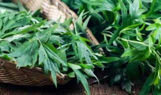 端午节挂什么在门口 端午节要挂什么在门上