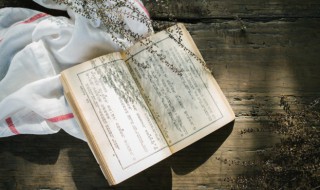 女 好听不易撞的网名女生2个字 好听不易撞的网名