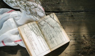 傲字的名字好听 傲字取名寓意好的