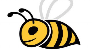 怎样养野蜂 怎么养野蜂