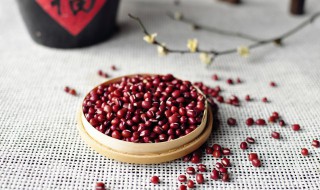 红豆杉树苗怎么养殖 红豆杉树苗怎么养