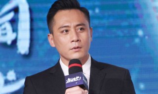 刘烨演过的电影叫花儿怒放还是怒放的花儿 刘烨演过的电影