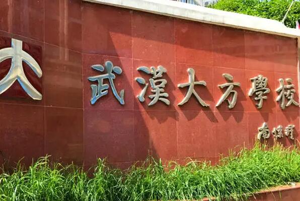 武汉大方学校