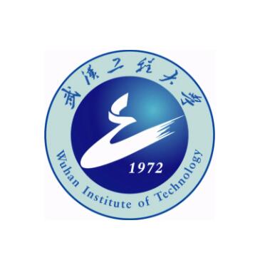 武汉工程大学