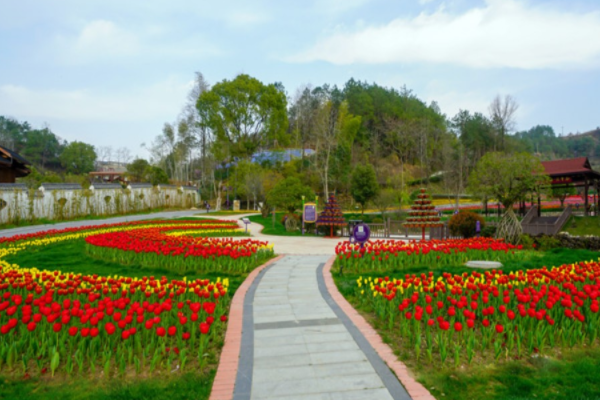 四季花海