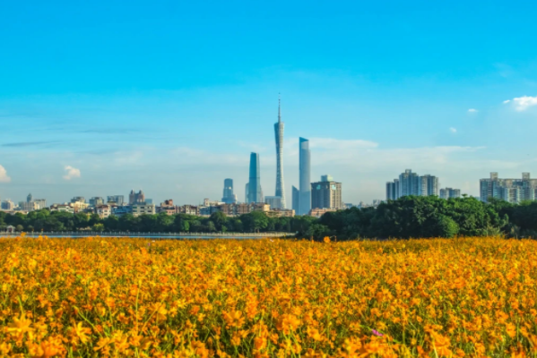 海珠湿地公园