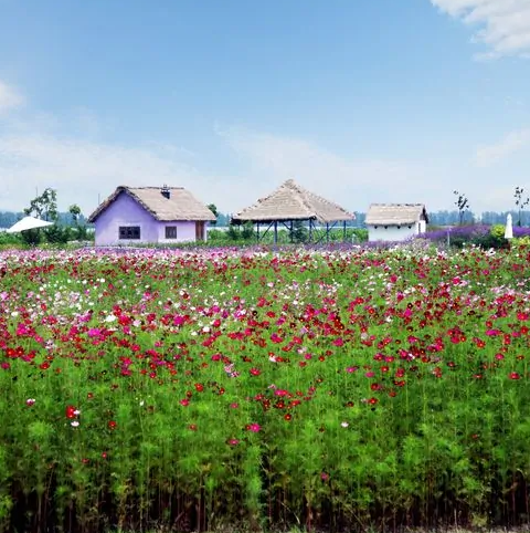 寻梦园香草农场