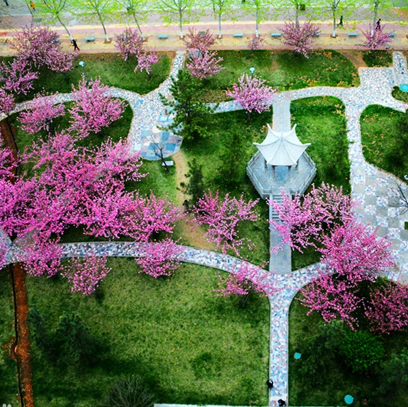 曲阜师范大学