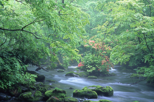 青森县