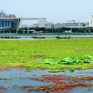 武汉月湖公园