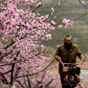 襄阳桃花岭