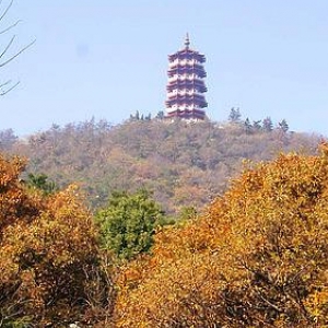 襄阳岘山