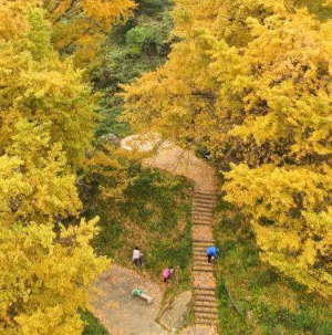 茅塔乡大沟村