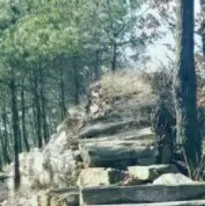 牛头岭观景平台