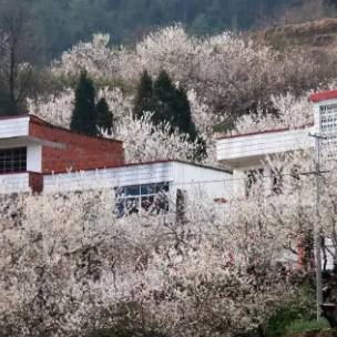 郧阳区茶店镇樱桃沟村