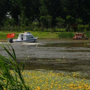 汉石桥湿地