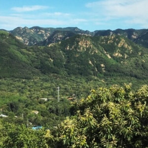 老泉山山野公园