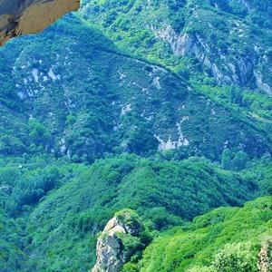 青菁顶自然风景区