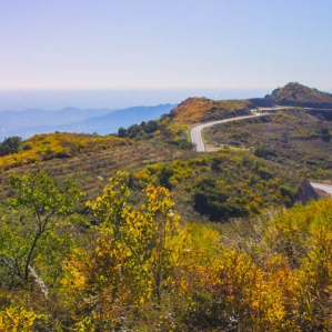 阳台山