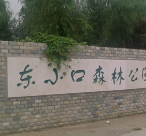 东小口森林公园