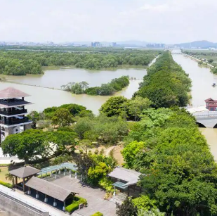 南沙湿地公园