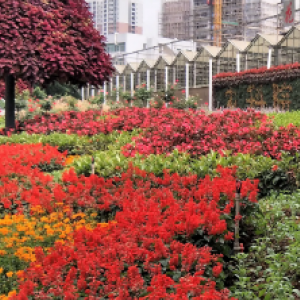 广州花卉研究中心科普基地