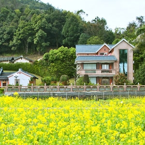 黄花村